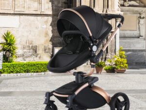 High Landscape Baby Stroller
