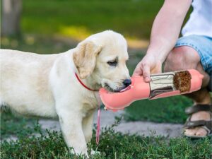 Pet Water Bottle Feeder Bowl Garbage Bag