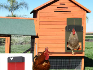 Coop Automatic Chicken Coop