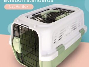 Outing Pet Cat Air Consignment